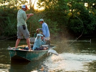 Jeff-Currier-fly-fishing-tigerfish