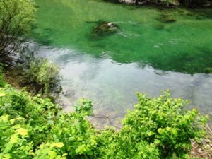 blog-June-1-2013-5-Idrijca-River
