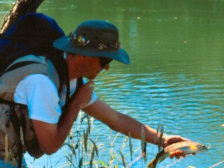Jeff-Currier-flyfishing-in-Australia