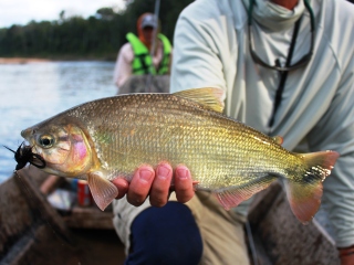 blog-July-28-2013-7-Yatorana-fishing-in-Bolivia