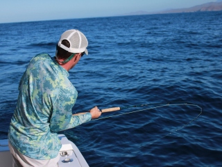 blog-Dec-14-2013-1-Jeff-Currier-flyfishing-for-mahi-mahi