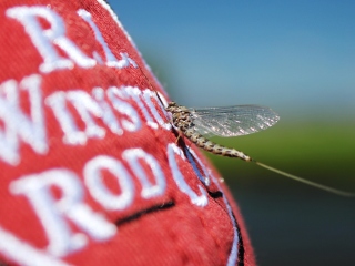 blog-July-8-2014-4-winston-fly-rods