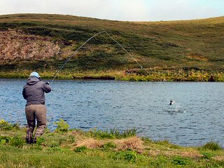 blog-Aug-11-2014-5-icelandic-fly-fishermen-and-jeff-currier