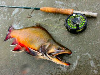 blog-Sept-29-2014-5-flyfishing-for-brooktrout