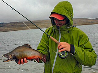 blog-Sept-29-2014-7-jeff-currier-brook-trout