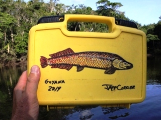 blog-Nov-1-2014-1-flyfishing-in-guyana
