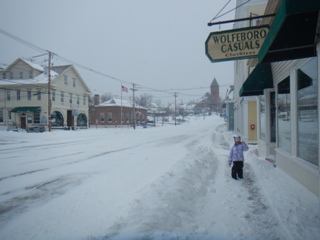 blog-Jan-26-2015-3-a-blizzard-in-wolfeboro-nh