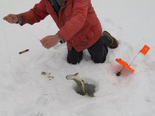 blog-Feb-8-2015-3-ice-fishing-for-pike
