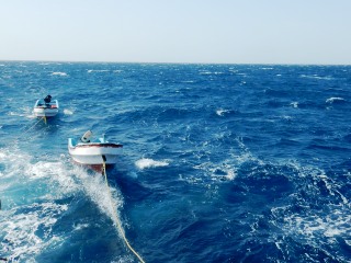 blog-April-11-2015-4-flyfishing-the-red-sea