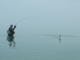 blog-June-14-2015-6-smallmouth-fishing-on-lake-michigan