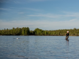 blog-June-23-2015-9-jeff-currier-flyfishing-for-pike