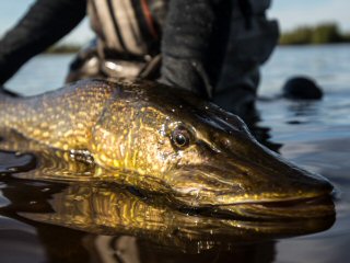 Austin Trayser Photo