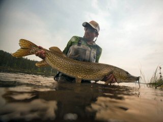 Austin Trayser Photo