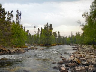blog-June-27-2015-13-bompas-river-arctic-grayling