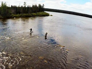 blog-Aug-8-2015-11- Mckenzie-river-labrador