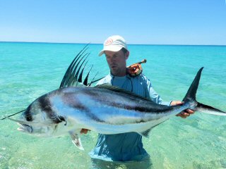 blog-May-20-2016-8-jeff-currier-huge-roosterfish