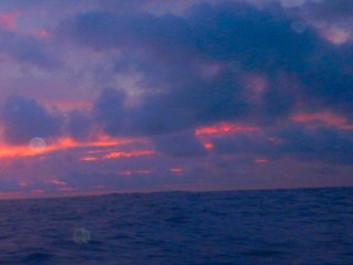 Costa Rica fly fishing