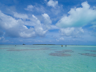 bonefishing Anaa Atoll
