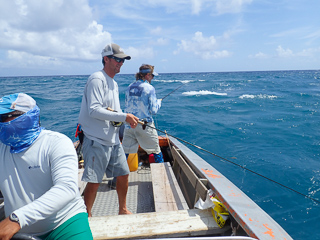 Jeff Currier fly fishing for grouper