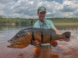 Jeff-Currier-monster-peacock-bass