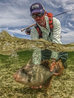 Jeff-Currier-triggerfish