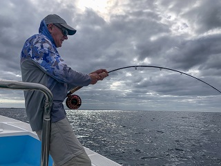 marlin-flyfishing