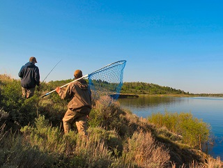 fly-fishing-for-carp