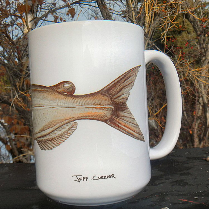 Channel Catfish | Coffee Mug | Jeff Currier – Jeff Currier