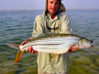 Nile Perch Archives Jeff Currier