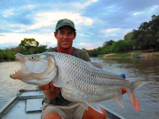 Nile Perch Archives Jeff Currier