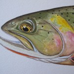 Abel Introduces Jeff Currier Artwork