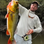 Jeff Currier Joins Ross Profesional Advisory Team