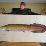 jeff-currier-arapaima