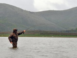 blog-May-17-2013-9-fly-fishing-for-mirror-carp