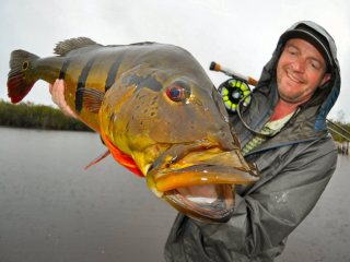 Jeff-Currier-with-peacock-bass-in-Brazil