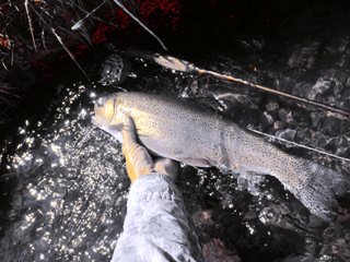 blog-June-25-2013-10-Harriman-Ranch-Henry's-Fork