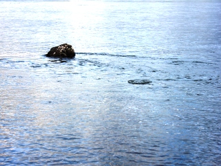 blog-June-25-2013-9-Henry's-Fork