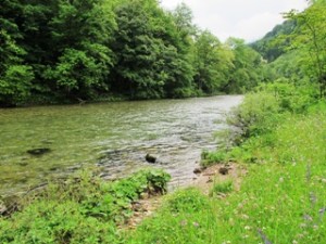 blog-June-5-2013-4-Idrjca-River-Slovenia