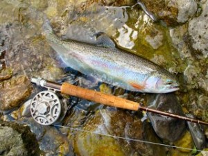 blog-June-7-2013-3-Rainbow-on-the-Nadiza-River-Slovenia