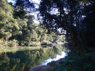 blog-July-26-2013-4-Tsimane-Lodge-Pool