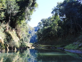 blog-July-29-2013-2-Upper-Secure-River-Bolivia
