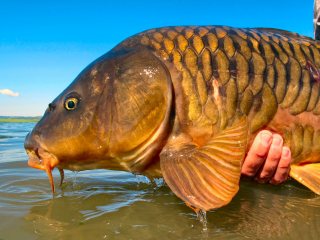 blog-July-3-2013-12-Fly-Fishing-for-Carp