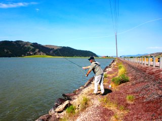 blog-July-8-2013-1-fly-fishing-for-carp