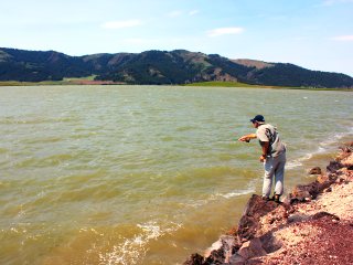 blog-July-8-2013-2-fly-fishing-for-carp