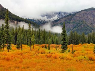 blog-Sept-18-2013-2-Silver-Gate-Montana