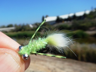 blog-Oct-12-2013-3-carp-flies