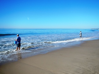 blog-Oct-17-2013-2-flyfishing-for-shovelnose-guitarfish