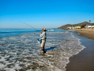 blog-Oct-17-2013-3-flyfishing-california-for-shovelnose-guitarfish