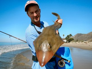 blog-Oct-17-2013-Jeff-Currier-with-a-shovelnose-guitarfish