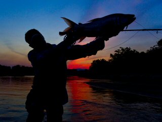 blog-Oct-30-2013-1-flyfishing-for-tigerfish